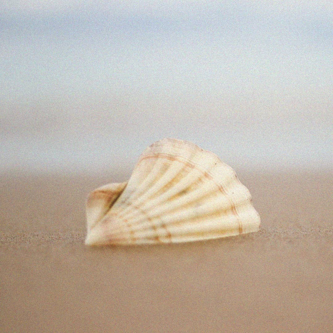 冬があるから春が来る。